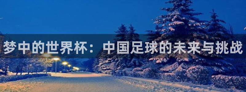 2026足球世界杯赛程时间表:梦中的世界杯:中国足球的未来与挑战