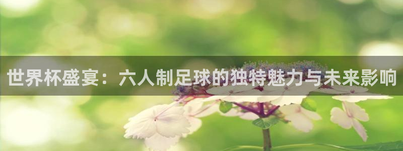 世界杯2026比赛时间表:世界杯盛宴:六人制足球的独特魅力与未来影响