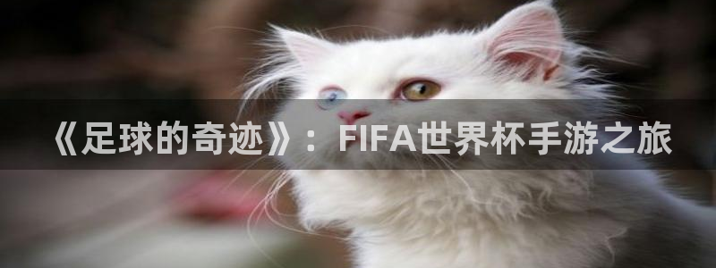 世界杯欧洲区预选赛赛程:《足球的奇迹》:FIFA世界杯手游之旅