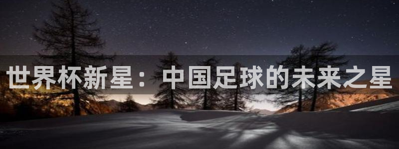 足球世界杯2026:世界杯新星:中国足球的未来之星