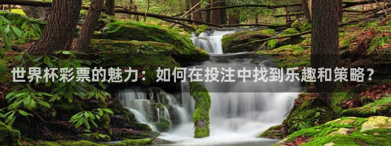 亚洲杯比赛直播:世界杯彩票的魅力:如何在投注中找到乐趣和策略?